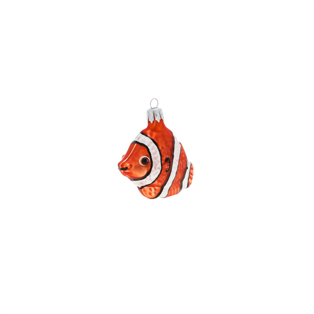 karibská rybka Nemo
